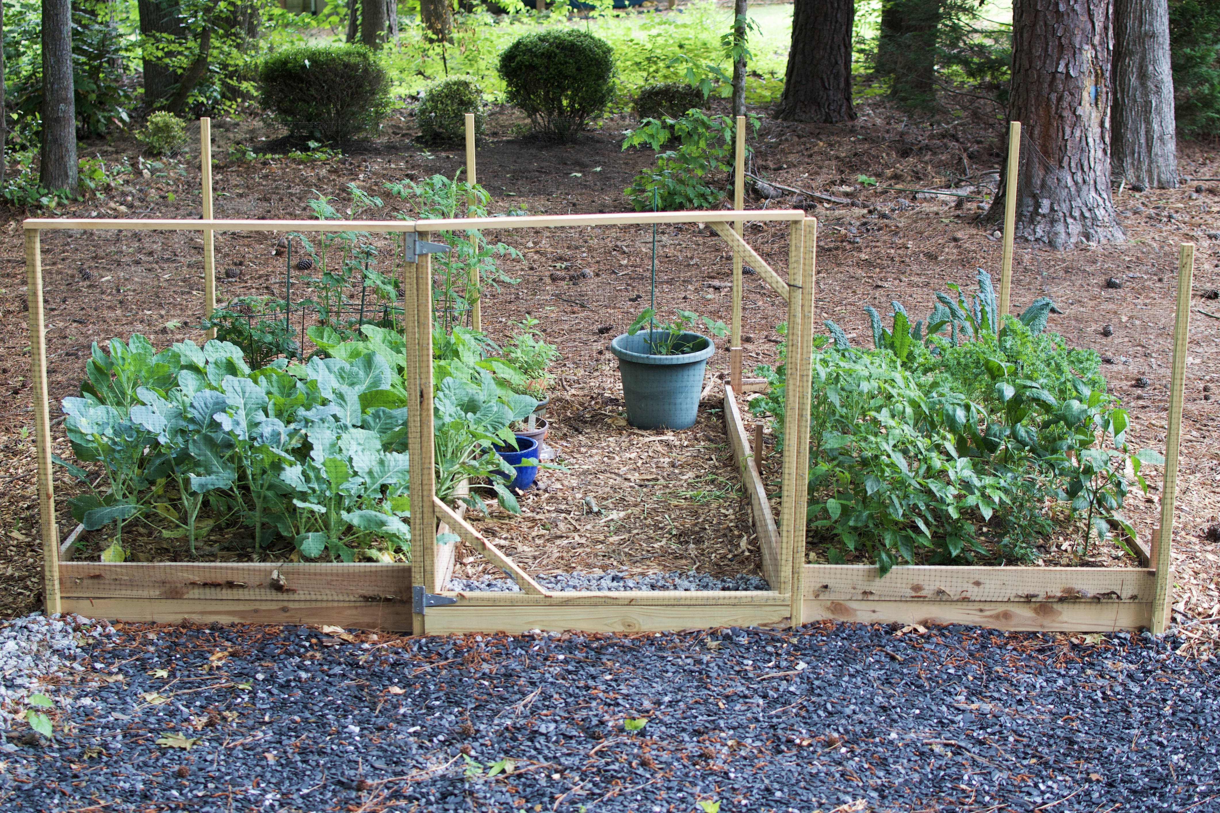 How to Make Your First Outdoor Raised-Bed Garden