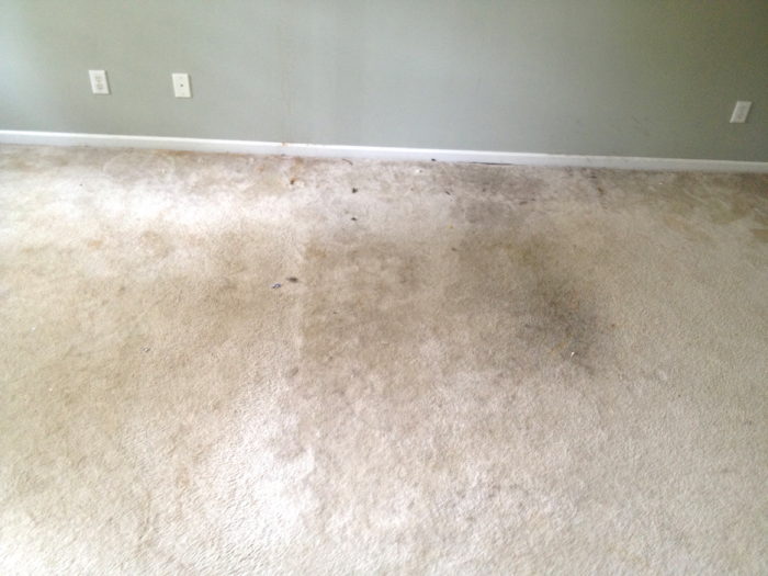 Actual Renovation (Maybe): Installing New Rustic Laminate Floors in our ...