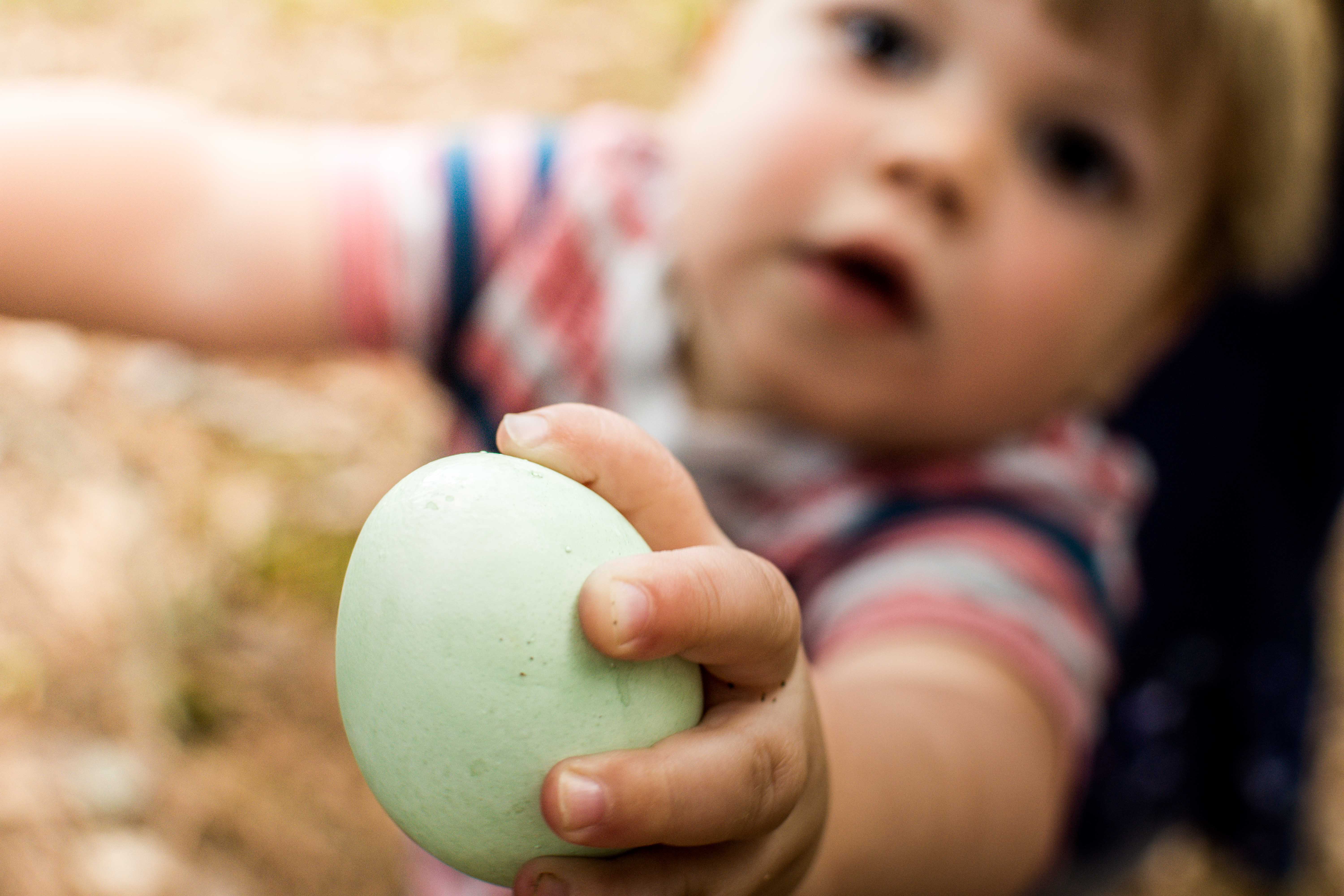 Best Easter Basket Ideas for Toddlers & Easter Tradition Inspiration for Families